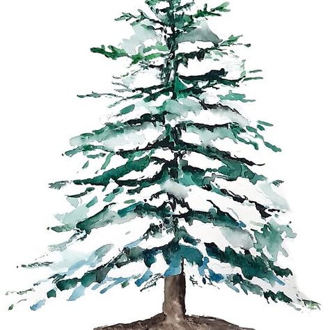 pine tree covering with snow Lone Pine, Ipad Snap, Painting Snow, Lone Tree, Winter Painting, Plant Painting, Evergreen Trees, Winter Art, Christmas Paintings