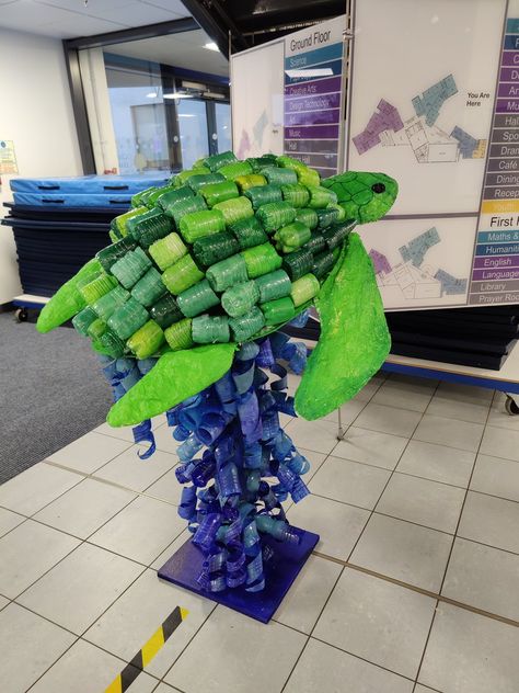 Saima Amin on X: "So proud of the students who worked on this little project for Enrichment Day today. And well done to Miss O for the careful planning behind the structure of our beautiful turtle made out of recycled plastic bottles! 🐢 I wish I took progress pics! https://t.co/mnudK84aFc" / X Diy Environmental Projects, Art Installation Ideas Student, Environment Projects Schools, Trash Art Ideas, Recycled Projects For School, Plastic Recycling Ideas Projects, Ocean Pollution Art, Plastic Pollution Art, Plastic Bottle Recycling Ideas