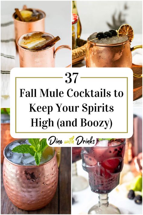 Collage of 4 fall mule cocktails. Different Moscow Mule Recipes, Autumn Moscow Mule, Autumn Mule Recipe, Fall Moscow Mule Drinks, Fall Mules Cocktail, Halloween Mule Cocktail, Moscow Mule Flavors, Rum Mule Drink Recipes, Thanksgiving Mule Recipe