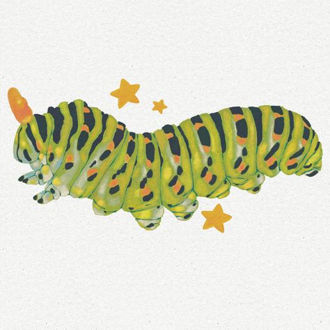 Chunky Caterpillar 🐛 #caterpillar #bugart #bugillustration #cutebugs #bugs #natureart #natureillustration #illustrators #illustratorsoninstagram #illustragram #artistsoninstagram Cattipillars Drawing, Types Of Patterns Design, Pillbug Drawing, Cicada Art Illustration, Pattern Art Ideas, Catipillar Drawing Simple, Cool Bugs Insects, Bug Perspective, Hungry Caterpillar Aesthetic