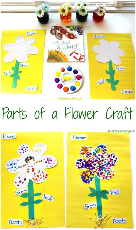 The Best Parts of a Flower Craft for Preschool and Kindergarten, Flower Crafts for Kids are Perfect for learning about flowers, Flower Science Preschoolers Parts Of A Flower Craft, Flowers Preschool, Flower Crafts Preschool, Flower Science, April Preschool, Spring Lessons, Preschool Garden, March Themes, Plant Activities