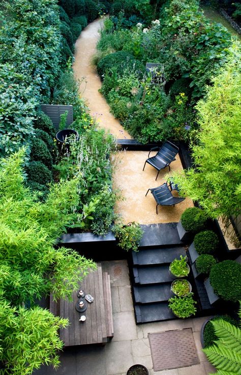 Designer Visit Chris Moss garden, Marcus Harpur photo. Gardenista Townhouse Garden, Sloped Backyard, London Garden, Moss Garden, Grasses Garden, Black Garden, Have Inspiration, The Secret Garden, City Garden