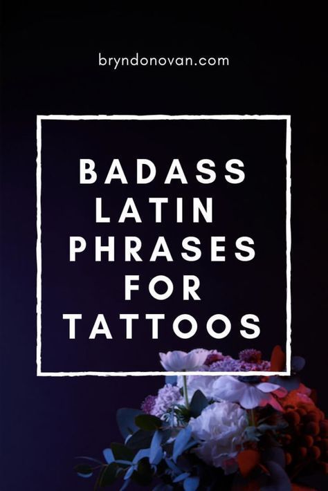 Fonts for tattoos #fontsfortattoos tattoo #tattoo tattoos #tattoos fonts #fonts font #font 9.182 Phrases For Tattoos, Latin Phrase Tattoos, Latin Sayings, Latin Quote Tattoos, Quotes Badass, Latin Tattoo, Fonts For Tattoos, Tattoos Fonts, Paranormal Romance Novels