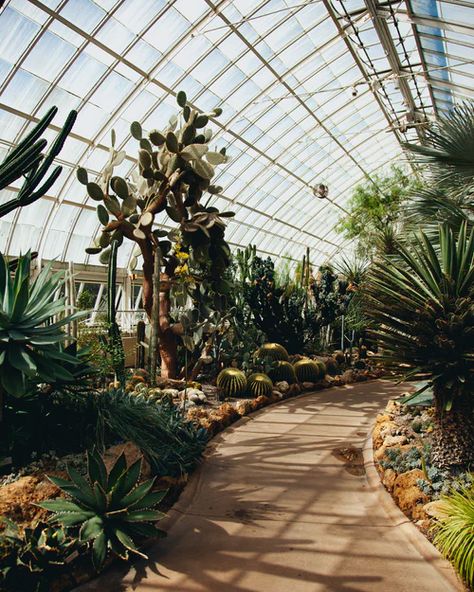 Angeles, Los Angeles, Desert Ecosystem, Nyc Landmarks, Gold Photography, New York City Vacation, New York Botanical Garden, Pumpkin Display, Indoor Greenhouse