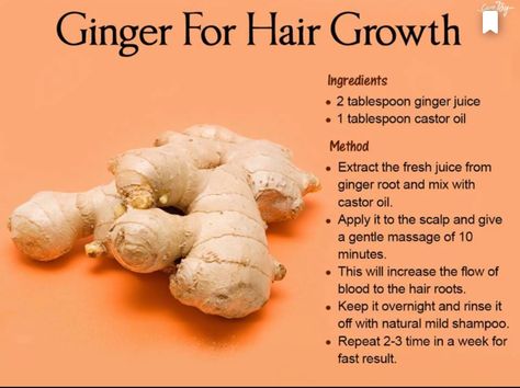 Ginger for hair growth Ginger For Hair Growth How To Use, Ginger For Hair Growth, Ginger For Hair, Hair Oil Recipe, Healthy Hair And Skin, Ginger Hair Growth, Hair Recipes, Herbal Hair Growth, Blonde Summer