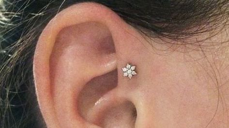 Piercings Corps, Piercing Combinations, Keith Thompson, Ear Piercing Combinations, Brian Keith, Double Cartilage Piercing, Multiple Ear Piercing, Anti Tragus, Helix Piercings