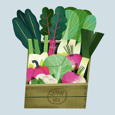 Veggie Box, Food Illustration Design, Vegetable Illustration, 동화 삽화, Food Sketch, Food Illustration Art, Fruit Illustration, Illustration Food, Affinity Designer