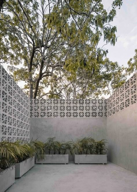 Cement Bricks Ideas Outdoor, Breeze Blocks Pool Area, Wall Extension Ideas Backyard, High Concrete Fence, Bali House Architecture, Breeze Block Garden Wall, High Garden Fence, Cement Fence Ideas, Breezeblock Fence