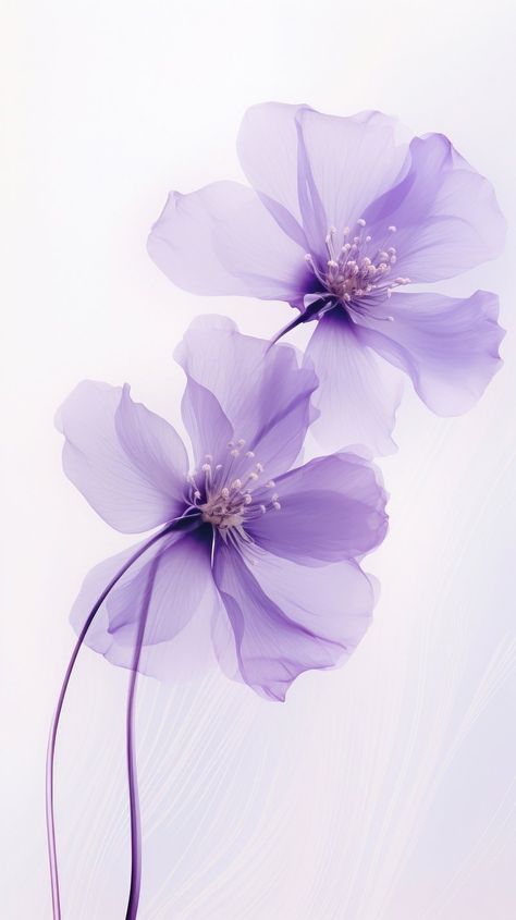 Purple flower background purple outdoors | Premium Photo - rawpixel One Lavender Flower, Cute Purple Photos, Purple Samsung Wallpaper, Perpel Flower, Nice Purple Wallpapers, Purple Flower Background Aesthetic, Cute Purple Backgrounds Aesthetic, Lilac Minimalist Wallpaper, Light Purple Flowers Wallpaper