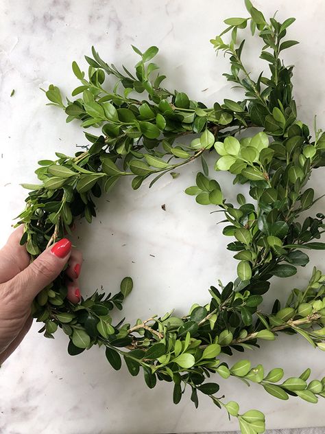 How to Make a Mini Boxwood Wreath | Less Than Perfect Life of Bliss | home, diy, travel, parties, family, faith Mini Wreath Diy, Mini Boxwood Wreath, Boxwood Garland, Outdoor Christmas Planters, Christmas Decorations Centerpiece, Diy Front Porch, Diy Porch, Diy Crafts For Adults, Small Wreaths