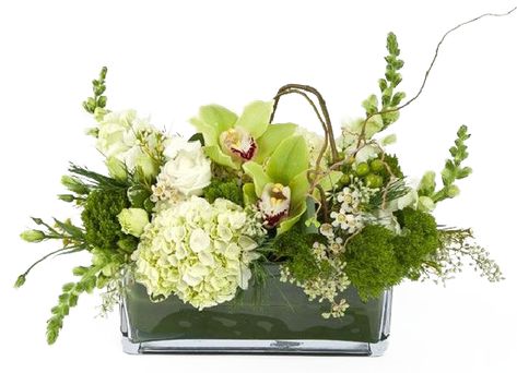 Hydrangea Flower Arrangement, White Wax Flower, Hydrangea Flower Arrangements, Contemporary Flower Arrangements, Orchid Flower Arrangements, Table Flower Arrangements, Home Floral Arrangements, Arrangement Ideas, Flower Arrangements Simple