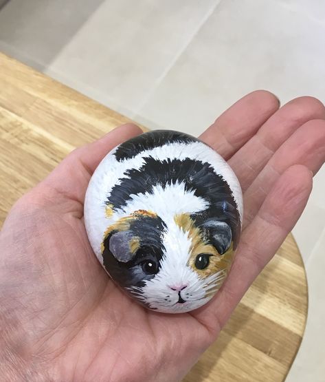 Pet Rock Painting Ideas, Pig Rock Painting, Cat Rock Painting Ideas, Pet Rock Ideas, Pebble Drawing, Rock Pets, Pet Rock, 동화 삽화, Diy Rock Art