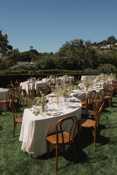 Looking for a unique dining setup? Our serpentine tables are the perfect choice!    @alibeckphoto @amriandco Unique Wedding Table Ideas, Serpentine Tables, Serpentine Table, Wedding Cocktail Tables, Family Style Weddings, Wedding Reception Tablescapes, Wedding Reception Chairs, Tea Party Garden, Garden Party Wedding