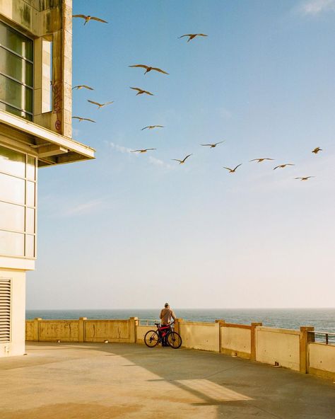 Winter morning light ✨ #portra800 x #mamiya7 | Instagram Direct Object, Art Ho, Film Camera Photography, Man Sweater, For The Birds, 35mm Photography, Film Photography 35mm, Winter Morning, Dream Places