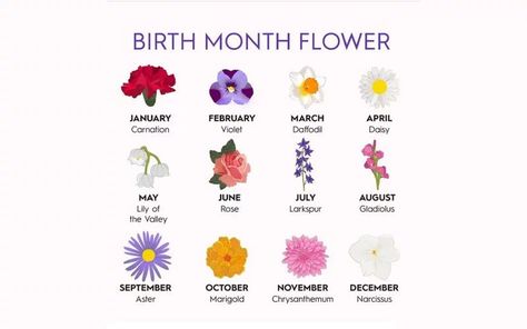 Find Out Your Birth Flowers By Korean Flower Chart! June Flower, July Birth Flower, Better Homes And Gardens Magazine, June Birth Flower, Flower Chart, April Birth Flower, September Flowers, Daisy May, April Flowers