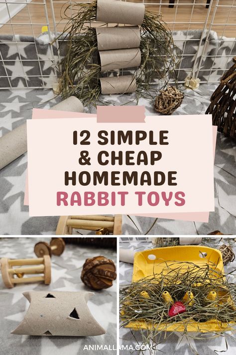 Are you looking for new ideas to keep you pet rabbit entertained and occupied during the day? Here are 12 simple and cheap rabbit toy ideas you can easily make yourself at home! How To Make Rabbit Toys, Rabbit At Home, Rabbit Outdoor Play Area, Rabbit Enrichment Ideas Diy, Bunny Diy Pet Ideas, Home Made Bunny Treats, Bunny Boredom Busters, Diy Rabbit Enrichment Toys, Activities For Rabbits