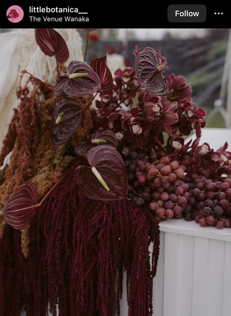 Bar Florals, Wanaka New Zealand, Fruit Centerpieces, Red Wedding Flowers, Orchid Arrangements, Cymbidium Orchids, Floral Event Design, Burgundy Flowers, Red Grapes