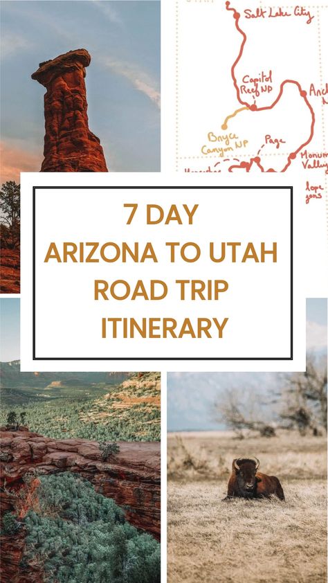 Looking for an Arizona to Utah road trip? Check out our 7 day itinerary to see the best national parks and cities on your way. We also included several Arizona and Utah maps. Utah Road Trip Itinerary, Utah National Parks Map, Utah Parks, Utah National Parks Road Trip, Arizona Road Trip, Utah Road Trip, Road Trip Routes, National Parks Map, Road Trip Destinations