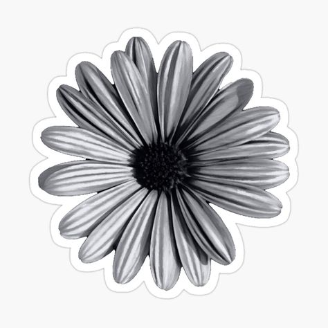 Get my art printed on awesome products. Support me at Redbubble #RBandME: https://www.redbubble.com/i/sticker/Black-and-white-drawn-Daisy-Flower-by-SunnyDesignsCo/52485711.EJUG5?asc=u Daisy Flower Sticker, Drawn Daisy, Black And White Daisy, White Daisy Flower, Black Stickers, Grey Flowers, White Daisy, Daisy Flower, Top Artists