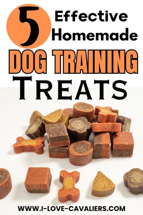 Peanut Butter Training Treats, Training Treats For Puppies Homemade Dog, Diy Dog Training Treats Easy, Organic Puppy Treats, Best Dog Treats For Training, Homemade Dog Treats For Training, Homemade Training Treats For Puppies, Low Calorie Treats For Dogs, Homemade Puppy Training Treats