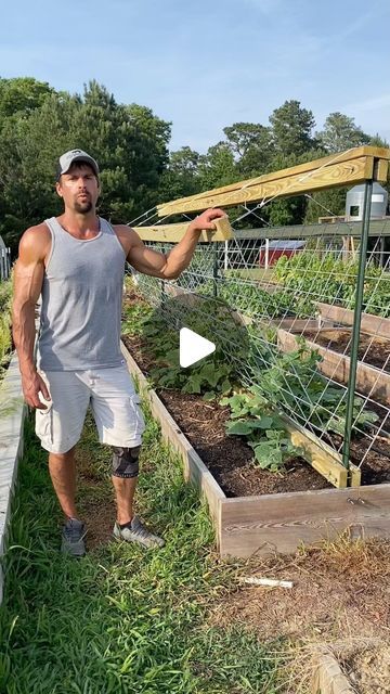 Salmon Creek Living on Instagram: "#cucumber #trellis #diy #homestead #cucumbertrellis #garden #cattlepaneltrellis" Vegetable Garden Trellis Ideas, Cucumber Trellis Ideas, Cucumber Garden Trellis, Diy Trellis Ideas, Cattle Panel Trellis, Cucumber Trellis Diy, Cucumber Gardening, Garden Hacks Diy, Cucumber Trellis