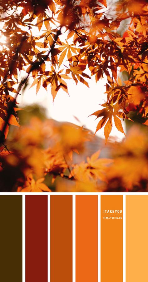 Lavender Hue – Color Palette #30 I Take You | Wedding Readings | Wedding Ideas | Wedding Dresses | Wedding Theme Shades Of Autumn, Autumn Colour Wedding Theme, Fall Theme Colors, Autumn Leaves Colour Palette, Autumn Shades Colour Palettes, Colours Of Autumn, Fall Color Dress, Autumn Leaf Color Palette, Autumn Palette Color