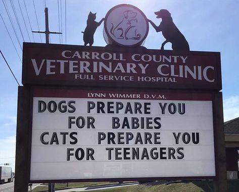 30 Of The Funniest Outdoor Signs From This Vet Clinic That Dad Joke Lovers Will Appreciate Funny Billboards, India Quotes, Carroll County, Veterinary Services, Vet Clinics, Stand Up Comedians, Veterinary Clinic, Business Success, What’s Going On