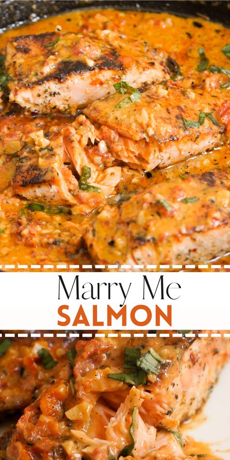 My easy Marry Me Salmon recipe is so yummy, it might just earn you a marriage proposal! This deliciously flaky salmon in a spicy, creamy sun dried tomato sauce takes just 40 minutes to get on the table, but tastes like you spent all day slaving away in the kitchen. Merry Me Salmon Recipe, Marry Me Food Ideas, Seafood And Fish Recipes, New Salmon Recipes, Salmon And Shrimp Recipes Healthy, Salmon And Sausage Recipes, Salmon Sun Dried Tomato Recipes, Creamy Salmon And Shrimp Recipes, Date Night Fish Dinner Recipes