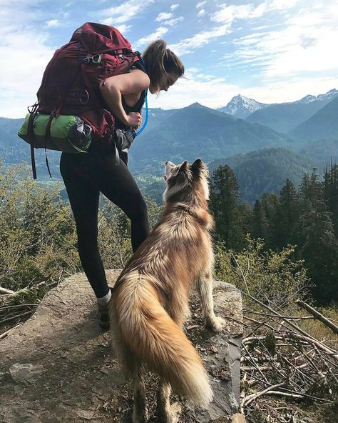 Does your pup need to stretch their legs? These are the best dog-friendly hikes near Seattle, from mountainous to low-key local walks. Julia Rose, America Washington, Hiking Photography, Hiking Dogs, Dark Paradise, Camping Ideas, Camping & Hiking, 귀여운 동물, Nature Travel