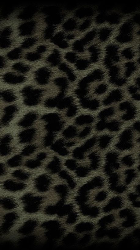 Leapord Wallpapers, Cheetah Asethic, Cindy Burman, Emo Backgrounds, Rich Aunt, 2000s Wallpaper, Ipad Inspo, Story Backgrounds, Pfp Pics