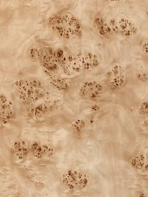 Burled Wood Coffee Table, Veneer Texture, Wood Veneer Sheets, Duplex Design, Shelf Furniture, Material Palette, Material Textures, Burl Wood, 3d Texture