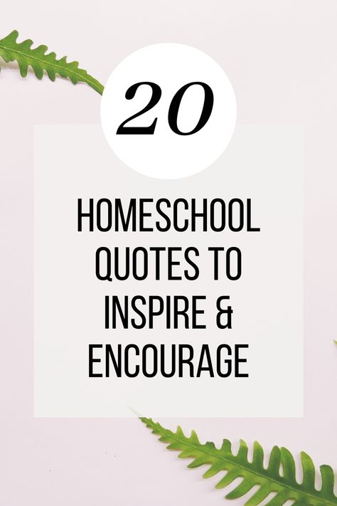 We all need a little inspiration and encouragement! Check out these homeschool quotes! #quotes #homeschoolquotes #homeschool Homeschool Inspiration Quotes, Homeschool Encouragement Quotes, Unschooling Quotes, Homeschool Mom Quotes, Quotes To Lift Your Spirits, Park Date, Quotes To Encourage, Homeschool Quotes, Sibling Quotes