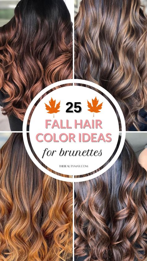 25 Fall Hair Color Ideas for Brunettes: Seasonal Shades to Transform Your Look Brunette Autumn Hair Color, Fall Hair Ombre Brunettes, Fall Color Brunette Hair, Fall Hair Colors For Women In Their 40s, Fall Hair Curly Color, Pretty Brown Hair Colors Fall, All Over Hair Color Brunette Fall, Fall Hair With Dimension, Fall Hair Tones For Brunettes