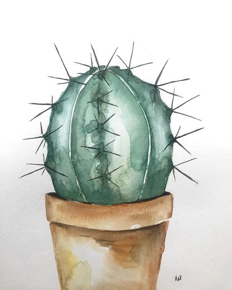 A Little Hive on Instagram: “Keep a lookout! The print of this watercolour cactus is coming soon on Etsy. 🌵👀 . . . . . . . . . . . . #alittlehive #artbyhat #watercolour…” Watercolor Cactus Paintings, Watercolour Succulents, Cactus Watercolour, Watercolour Plants, Watercolor Basic, Lion Canvas Painting, Plant Watercolor, Cactus Paintings, Cactus Watercolor