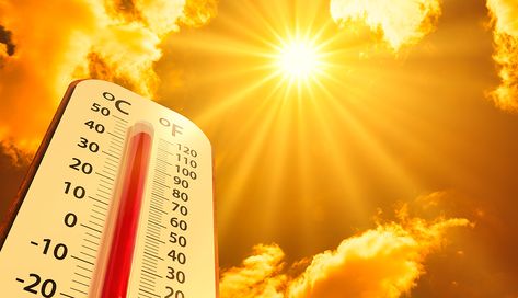 As temperatures rise in Florida and Arizona, other states may offer refuge from worst impacts of climate change Sun Belt, Portland State University, Summer Temperature, Extreme Weather Events, Dental Insurance, Extreme Heat, Extreme Weather, Previous Year, Hot Weather