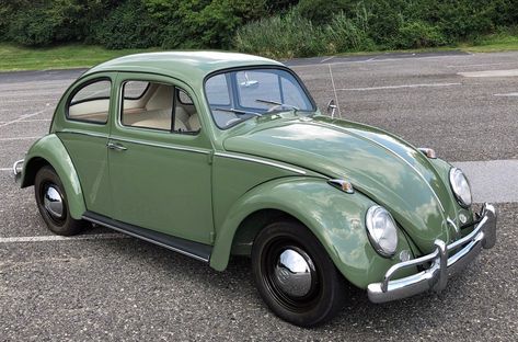 Car Beetle, Beetle Volkswagen, Volkswagen Beetle Vintage, Car Yellow, Beetle Vw, Volkswagen Beetle Convertible, Bug Car, Hippie Bus, Classic Volkswagen