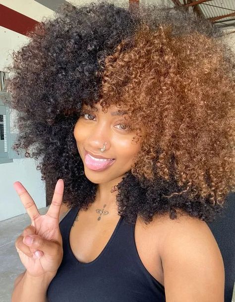 Afro Highlights, Skunk Hair, Highlights Curly, Skunk Stripe, Dyed Curly Hair, Split Dyed Hair, Dyed Hair Inspiration, Colored Curly Hair, Dyed Natural Hair