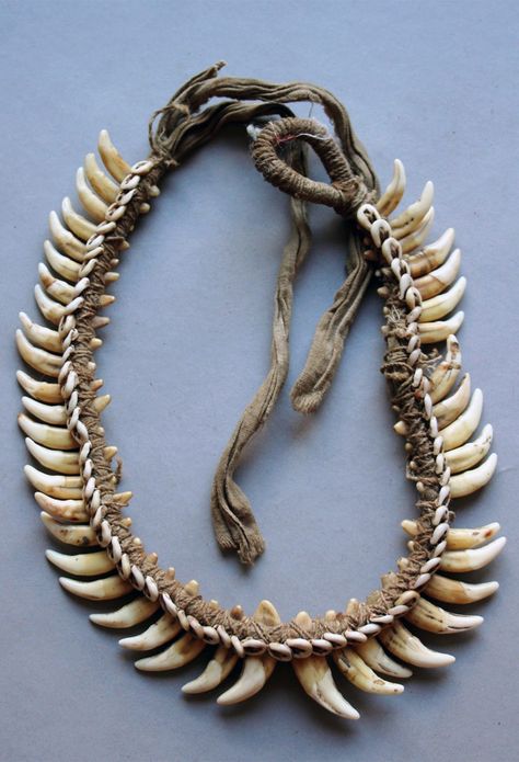 East Sepik Province, Fashion Installation, Old Necklace, Bones Bracelet, Bone Crafts, Bone Art, Tooth Necklace, Bone Jewelry, Dog Teeth