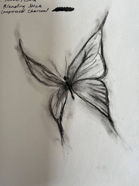 How To Draw A Detailed Butterfly, Sketch Of A Butterfly, Butterfly Pen Sketch, Aesthetic Butterfly Sketch, Drawing Ideas Aesthetic Pencil, Sketches Of Butterflies, Sketches Butterfly, Butterfly Drawing Sketches, Drawing Ideas Butterfly