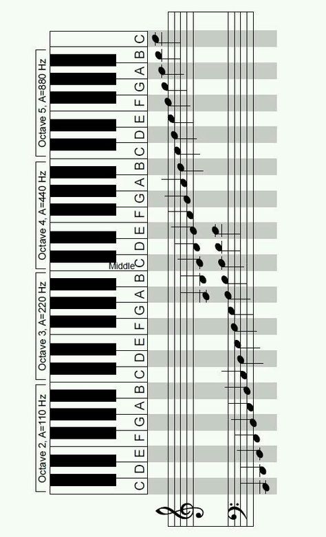 Piano Chords Chart, Piano Music Lessons, Homeschool Music, Not Musik, Music Chords, Music Teachers, Music Ed, Reading Music, Piano Songs