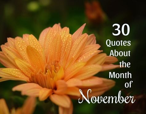 Quotes About November, New Month Quotes, November Aesthetic, Anniversary Quotes For Him, November Quotes, Month Quotes, Senior Quotes Funny, 30 Quotes, November Month