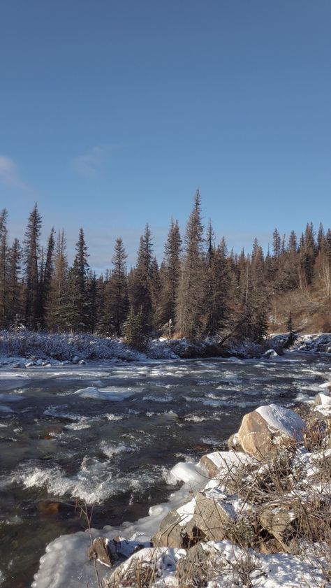 Nature, Alaska Homestead Aesthetic, Alaska Core Aesthetic, Alaska Living Aesthetic, Alaska Travel Aesthetic, Alaska Astethic, Anchorage Alaska Aesthetic, Alaska Aesthetic Winter, North America Aesthetic