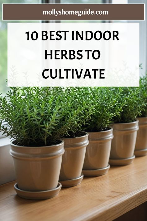 Discover the best herbs to grow indoors with our comprehensive guide to indoor gardening. From medicinal herbs to flavorful additions for your home-cooked meals, these herbs thrive inside year-long. Create your own indoor herb garden by growing herbs in pots or on your windowsill. Explore container gardening herbs perfect for urban spaces and learn about the easiest herbs to grow indoors. Herb In Kitchen, Basic Herb Garden, Growing Herbs Indoors Ideas, Growing Herbs From Seeds Indoors, Indoor Herbal Garden Ideas, Indoor Herbs To Grow, Diy Herb Garden Indoor, Herb Garden Apartment, Herb Garden Ideas Indoor