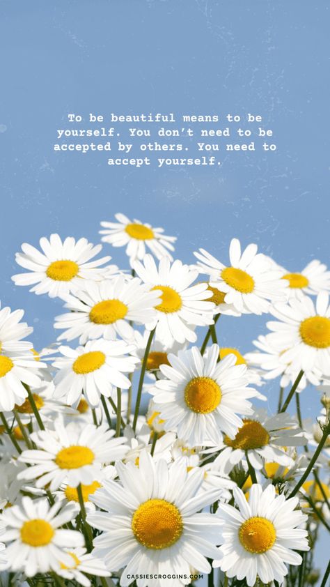 Daisy Quotes, Lock Screen And Home Screen, Pretty Phone Backgrounds, Beach Clouds, Cute Motivational Quotes, Flowers Daisies, Happy Day Quotes, Inspirational Quotes Background, Positive Quotes Wallpaper