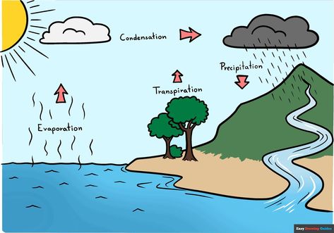 Learn How to Draw the Water Cycle: Easy Step-by-Step Drawing Tutorial for Kids and Beginners. See the full tutorial at https://easydrawingguides.com/how-to-draw-the-water-cycle/ . Water Cycle Drawing, School Drawing Ideas, Water Cycle Craft, Water Cycle Model, Water Cycle For Kids, Water Cycle Poster, Draw School, Water Cycle Project, Water Cycle Diagram