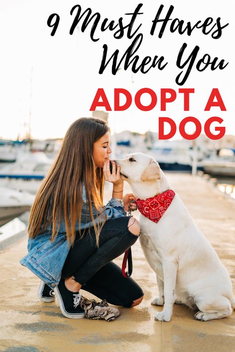 Dog Adoption Announcement, Adopting A Dog, New Puppy Checklist, How To Be Single, Rescue Puppies, Dog List, Dog Essentials, Crazy Dog Lady, Adopt A Dog