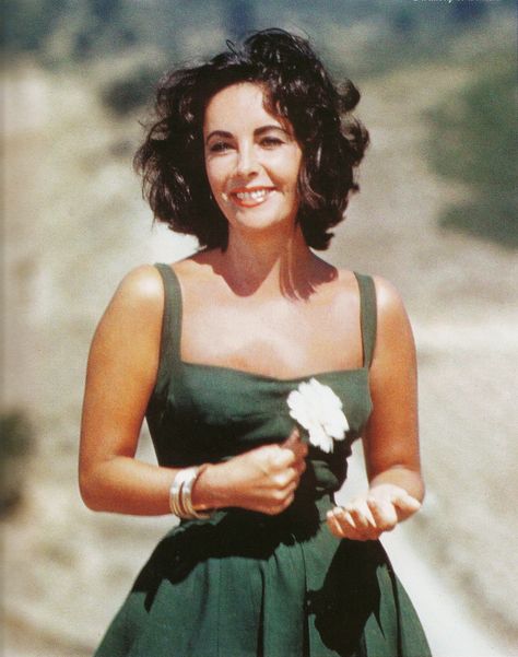 Love her hair. Elizabeth Taylor Style, Edward Wilding, Bridget Bardot, Violet Eyes, Actrices Hollywood, Sophia Loren, Elizabeth Taylor, Brigitte Bardot, Fashion Icon