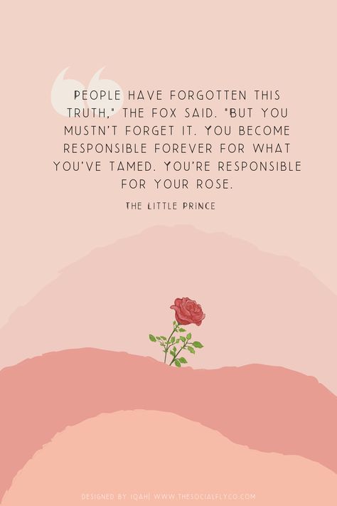 The Prince Quotes, The Little Prince Drawing, The Little Prince Aesthetic, Little Prince Aesthetic, The Little Prince Wallpaper, Little Prince Wallpaper, Quotes From The Little Prince, The Little Prince Quotes, Little Prince Rose