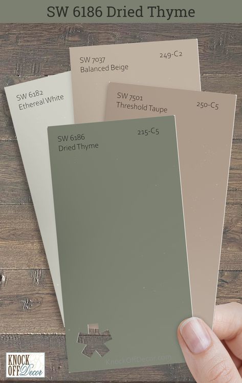 Sherwin Williams Dried Thyme is a hue that invites relaxation into any space. I'm delighted to share my insights on the colors that best complement it such as here with SW Threshold Taupe, Balanced Beige, and Ethereal White. My full review details the more incredible palettes. Click to find your perfect match! Bathroom Wall Color Ideas Farmhouse, Color For Outside House Paint, Painting Room Colors, Grey And Sage Color Palettes, Taupe Colour Scheme, Best Earthy Paint Colors, Balanced Beige Coordinating Colors, Taupe Walls White Trim, Sw Threshold Taupe