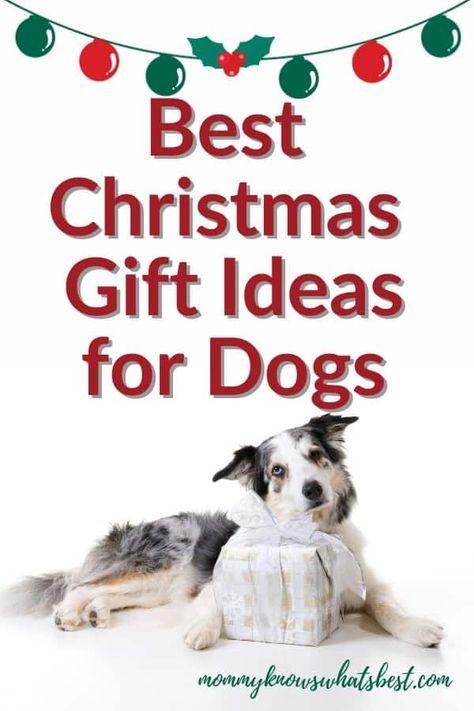 What will your dogs be opening on Christmas Day? Here's a list of ten gift ideas dogs are sure to love! | gift ideas for dogs and dog lovers Christmas Gifts For Dogs, Ideas For Dogs, Welsh Corgi Puppies, Christmas Gifts For Pets, Gifts For Dogs, Dog Christmas Gifts, Gifts For Dog Owners, Christmas Gift Ideas, Dog Owner